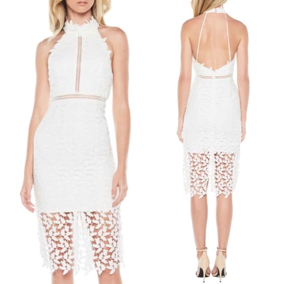 gemma halter lace sheath dress bardot